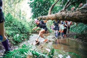 BIB: 
                            <button type="button" onclick="openModal(25514924)" class="btn btn-primary btn-sm float-right btn-popup" data-toggle="modal" data-target=".modal-high-quality">
                        <i class="fas fa-shopping-cart"></i> Add to Cart
                    </button>
                                            <button type="button" onclick="isThisMe(25514924, true)" class="btn btn-success btn-sm float-right btn-popup btn-isme hidden" data-toggle="tooltip" data-placement="bottom" title="นี่คือรูปของคุณใช่ไหม คลิกที่นี่เพื่อเอาเข้าอัลบั้ม">
                        <i class="fas fa-plus"></i> Add to album
                    </button>
                    <button type="button" onclick="isThisMe(25514924, false)" class="btn btn-warning btn-sm float-right btn-popup btn-isnotme hidden">
                        <i class="fas fa-ban"></i> Remove from album
                    </button>